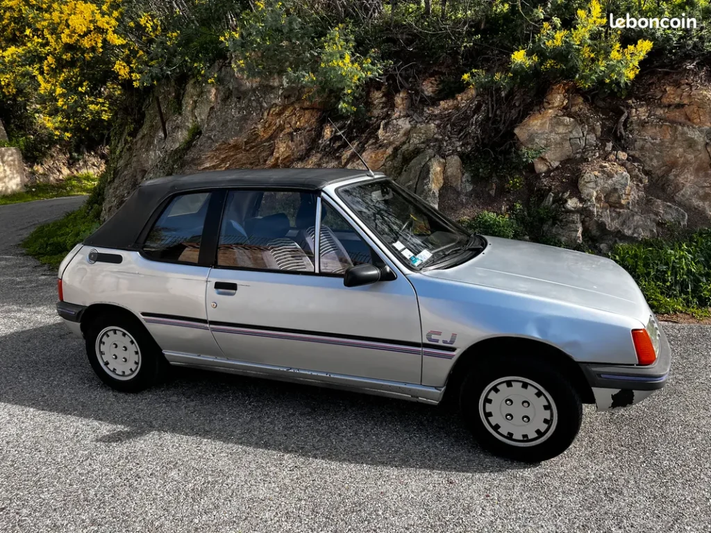 une peugeot 205 CJ à vendre